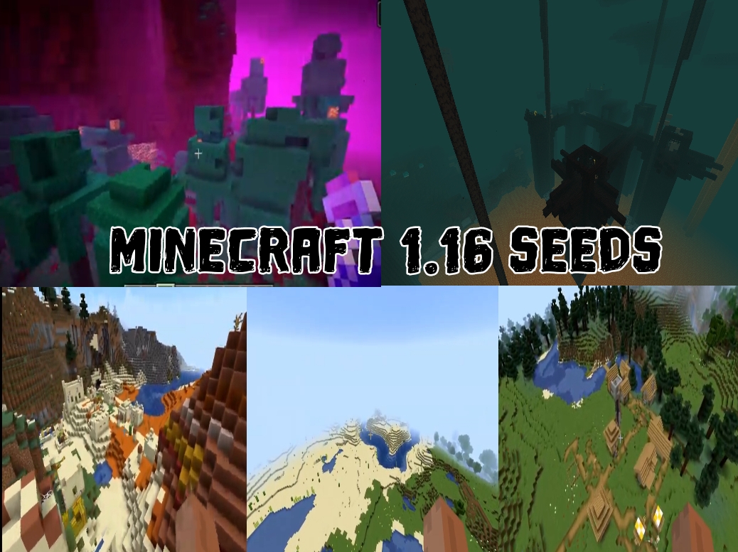 Minecraft 1.16 Seeds