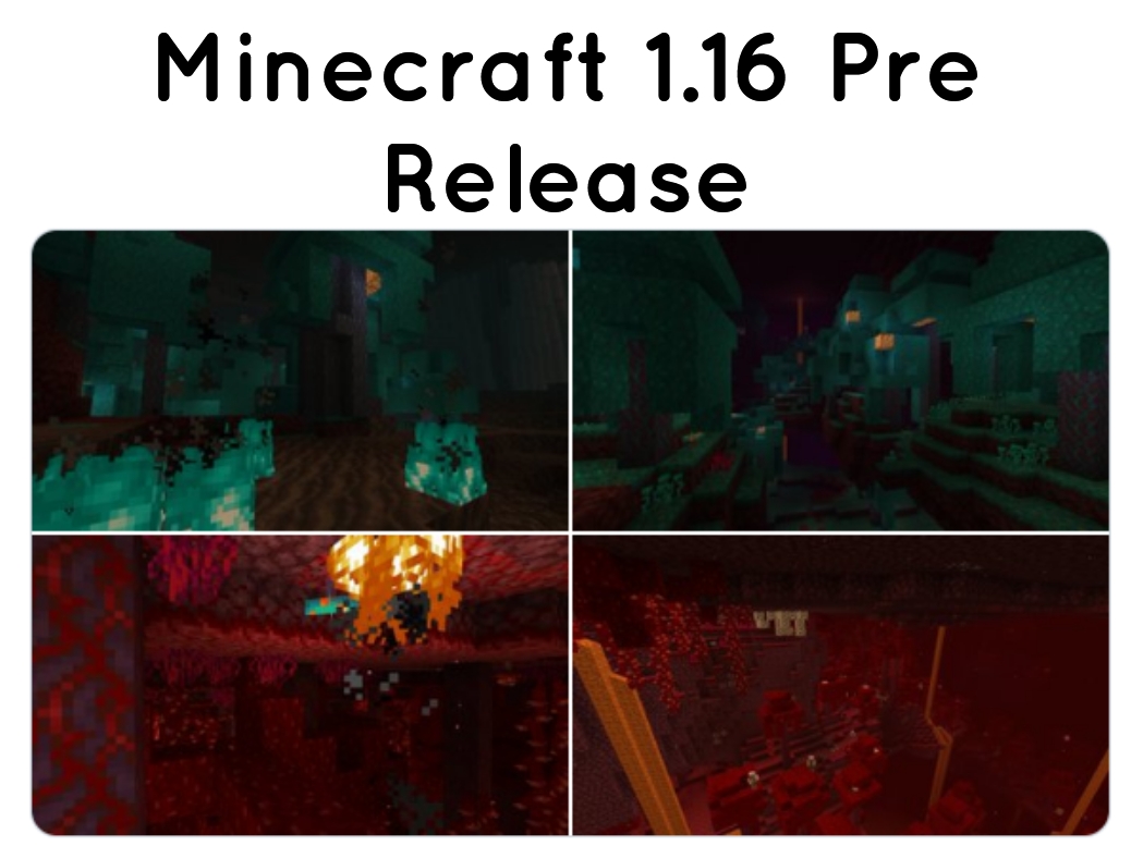 Minecraft 1.16 Pre Release