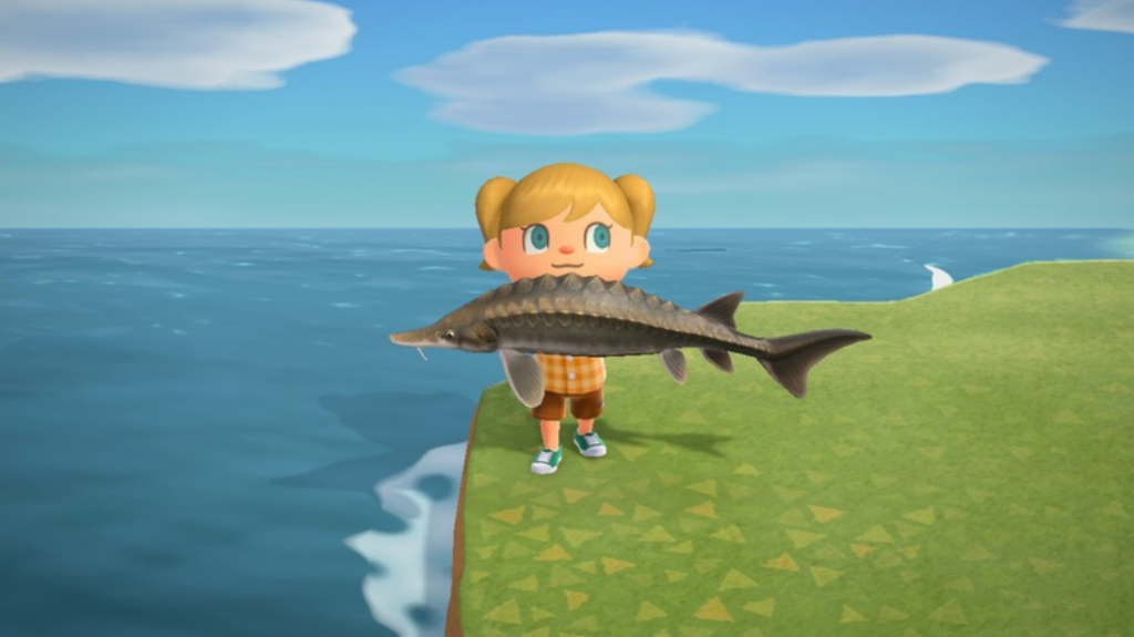 animal crossing october fish and bugs
