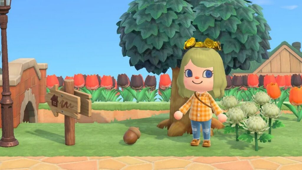 how to get acrons in animal crossing