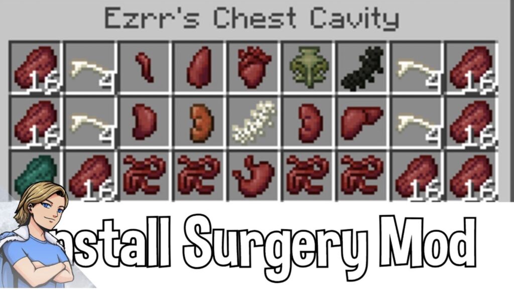 Minecraft Surgery Mod