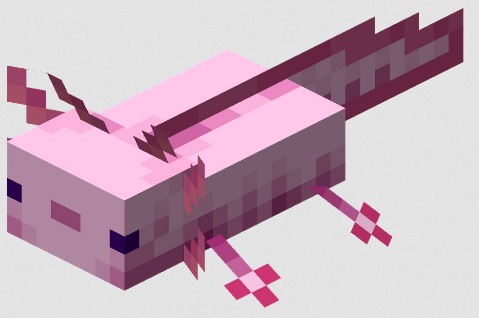 How many Colors of Axolotls are there in Minecraft