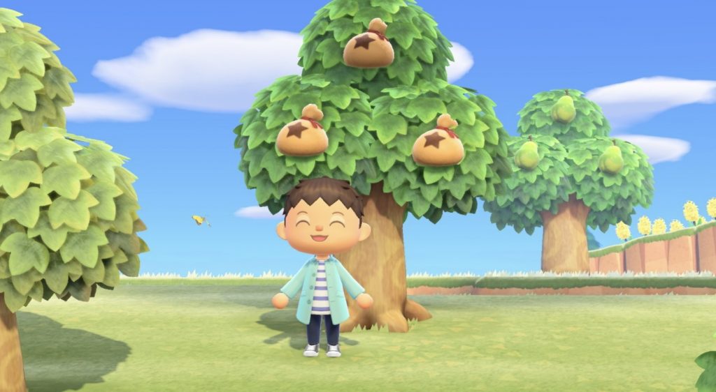 How To Plant Money Tree Animal Crossing
