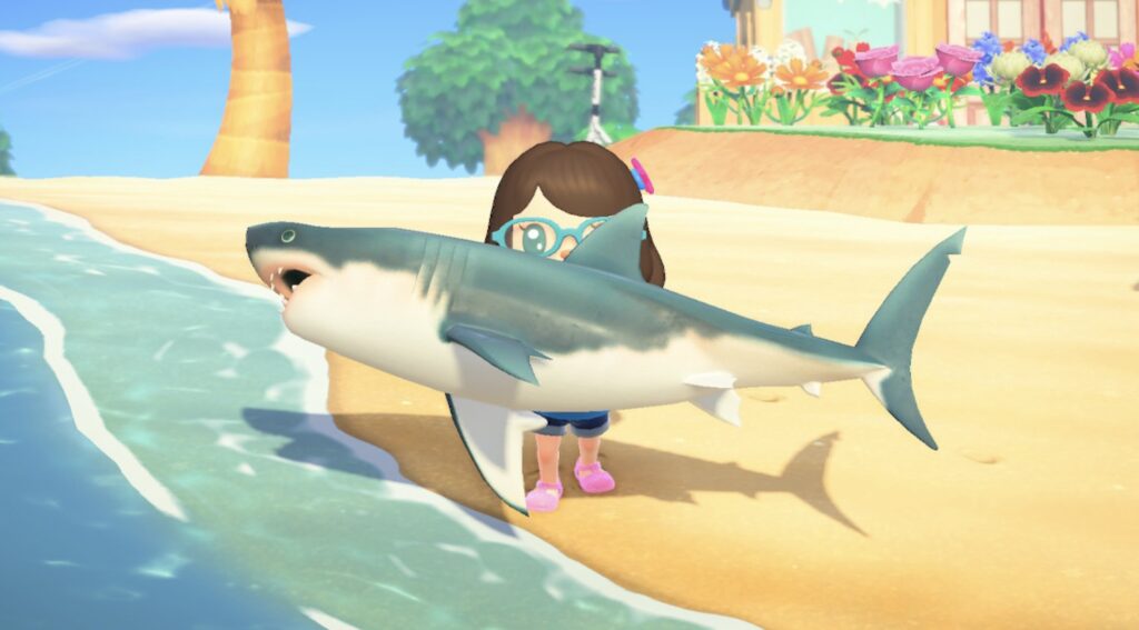 How To Catch A Shark In Animal Crossing New Horizon
