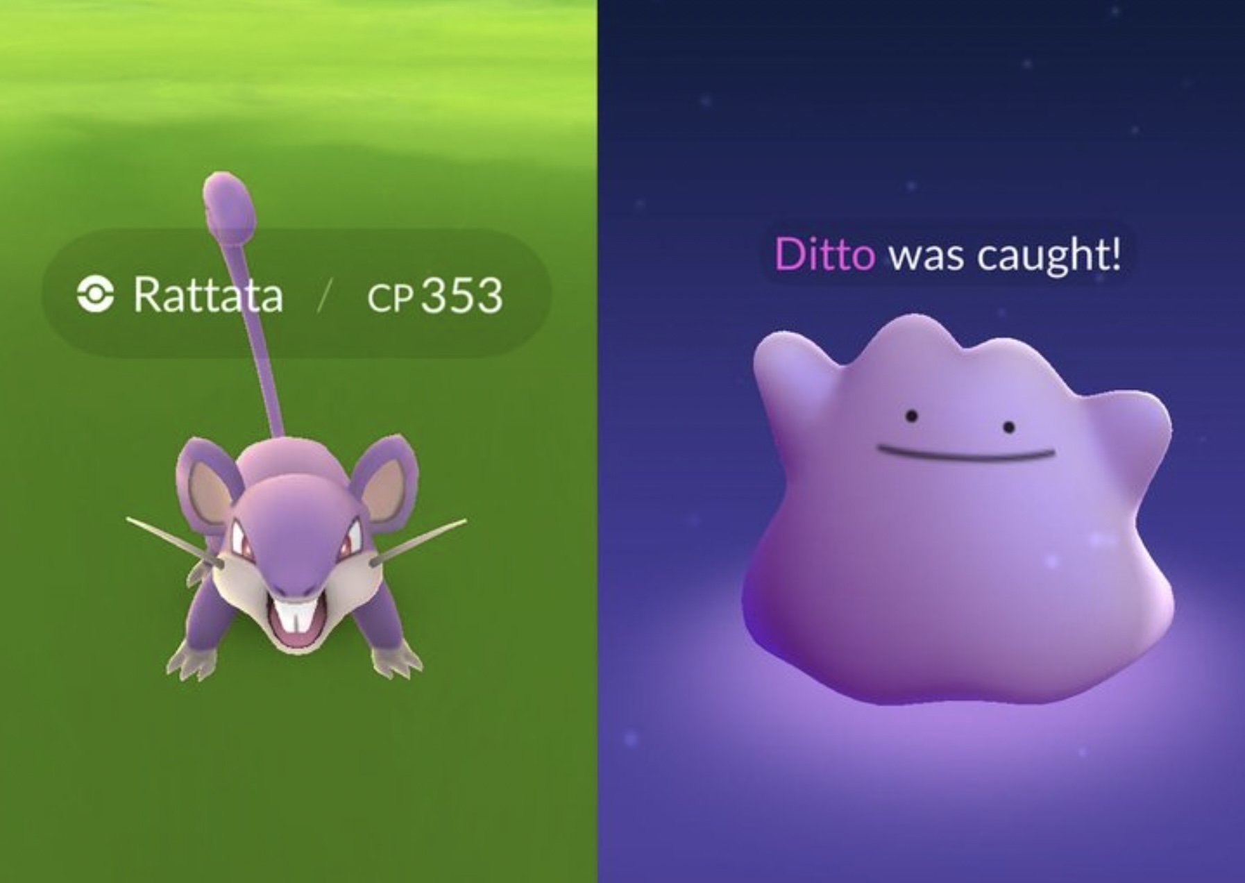 How To Catch A Ditto In Pokemon Go November 2022