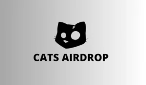 Cats all video codes October 10, 2024