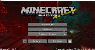 minecraft 1.21.3 Patch notes